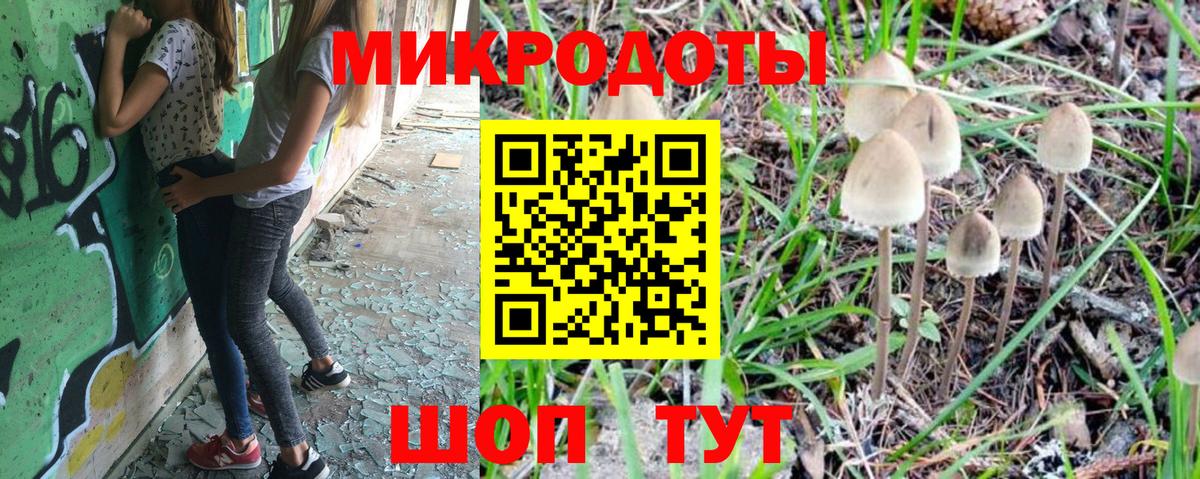 Псилоцибиновые грибы Cubensis Гусиноозёрск