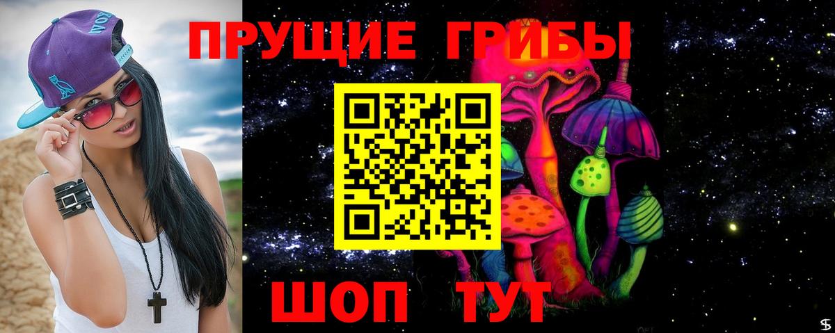 Галлюциногенные грибы Magic Shrooms  Псилоцибиновые грибы Cubensis  продажа наркотиков  Вход с VPN  Гусиноозёрск 